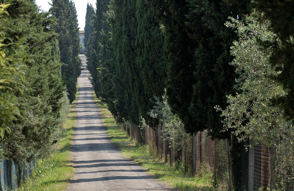 Agriturismo Poggio Arioso Apartment Scandicci Bagian luar foto